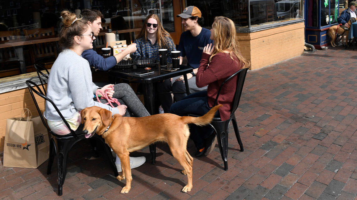 Outdoor Dining with Dogs